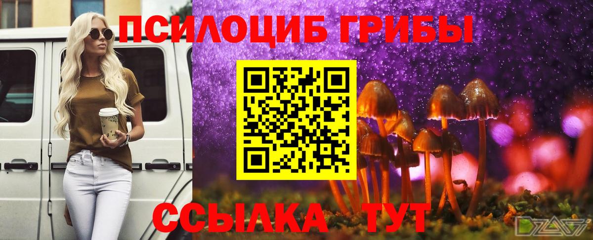 Галлюциногенные грибы Psilocybine cubensis Большой Камень